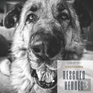 Rescued Heroes