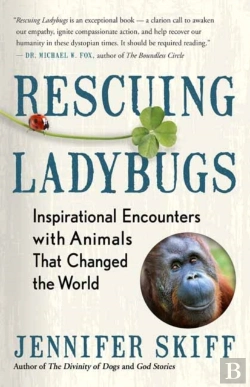 Bertrand.pt - Rescuing Ladybugs