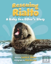 Rescuing Rialto: A Baby Sea Otter'S Story