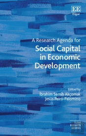 Research Agenda For Social Capital In Economic Development