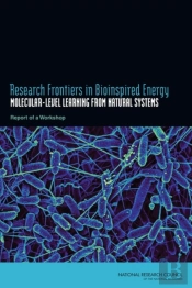 Research Frontiers In Bioinspired Energy