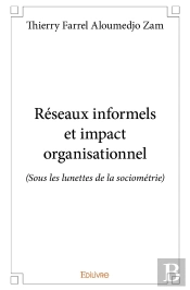 Réseaux Informels Et Impact Organisationnel : (Sous Les Lunettes De La Sociométrie)