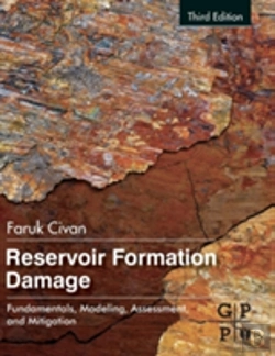 Bertrand.pt - Reservoir Formation Damage