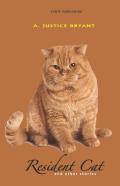 Resident Cat