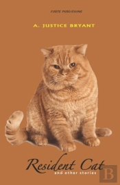 Resident Cat