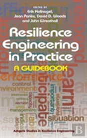 Resilience Engineering In Practice