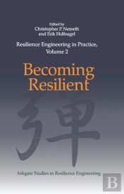 Resilience Engineering In Practice, Volume 2