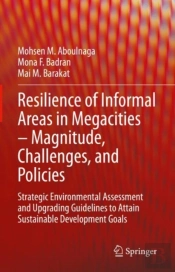 Resilience Of Informal Areas In Megacities Â€“ Magnitude, Challenges, And Policies
