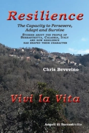 Resilience / Resilienza The Capacity To Persevere, Adapt And Survive