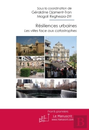 Résiliences Urbaines ; Les Villes Face Aux Catastrophes