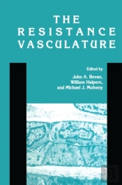 Resistance Vasculature