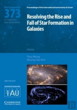 Bertrand.pt - Resolving The Rise And Fall Of Star Formation In Galaxies (Iau S373)