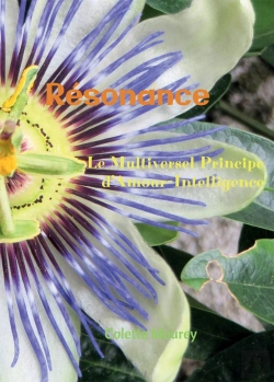 Bertrand.pt - Résonance : Le Multiversel Principe D'Amour-Intelligence