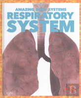 Respiratory System