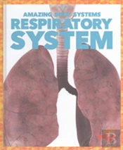 Respiratory System