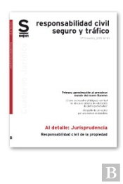 Responsabilidad Civil De La Propiedad