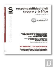 Responsabilidad Civil Del Abogado Criterios Y Supuestos Esp
