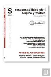 Responsabilidad Civil Del Abogado Criterios Y Supuestos Esp