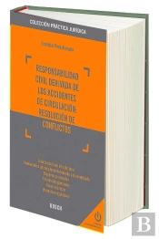 Responsabilidad Civil Derivada De Los Accidentes De Circulación: Resolución De Conflictos