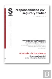 Responsabilidad Civil En Las Relaciones Familiares