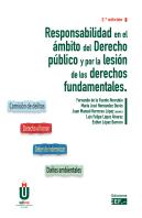 Responsabilidad En El Ámbito Del Derecho Público Por La Lesión De Los Derechos Fundamentales