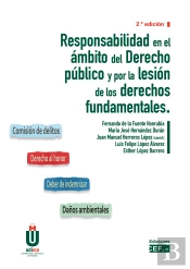 Responsabilidad En El Ámbito Del Derecho Público Por La Lesión De Los Derechos Fundamentales