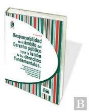 Responsabilidad En El Ámbito Del Derecho Público Y Por La Lesión De Los Derechos