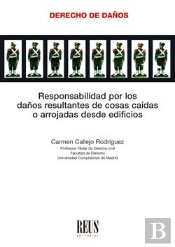Responsabilidad Por Los Daños Resultantes De Cosas Caidas O