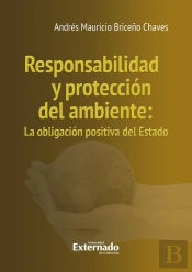 Responsabilidad Y Protección Del Ambiente : La Obligación Positiva Del Estado