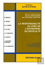 Responsabilité Du Chef De L'Entreprise En Difficulté
