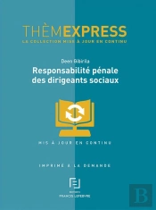 Responsabilité Pénale Des Dirigeants Sociaux