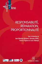 Responsabilité, Réparation, Proportionnalité