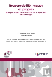 Responsabilité, Risques Et Progrès
