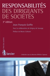 Responsabilités Des Dirigeants De Sociétés (3e Édition)