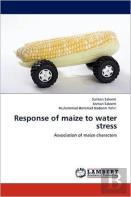 Response Of Maize To Water Stress