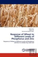 Response Of Wheat To Different Levels Of Phosphorus And Zinc