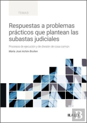 Respuestas A Problemas Practicos Que Plantean Las Subastas Judiciales