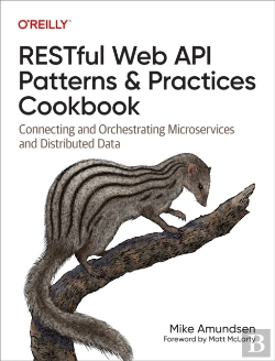 Bertrand.pt - Restful Web Api Patterns And Practices Cookbook