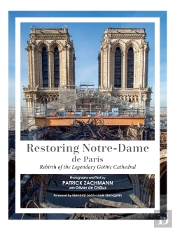 Bertrand.pt - Restoring Notre-Dame De Paris