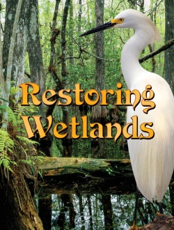 Bertrand.pt - Restoring Wetlands