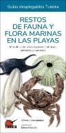 Restos De Fauna Y Flora Marinas En Las Playas