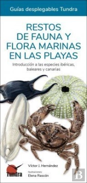 Restos De Fauna Y Flora Marinas En Las Playas