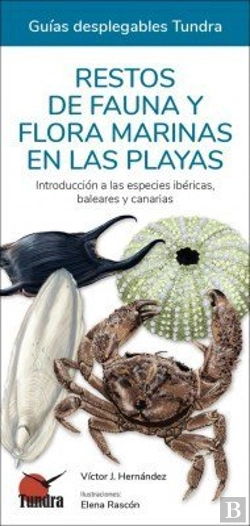 Bertrand.pt - Restos De Fauna Y Flora Marinas En Las Playas