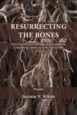 Bertrand.pt - Resurrecting The Bones