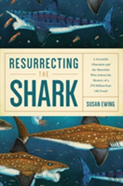 Bertrand.pt - Resurrecting The Shark