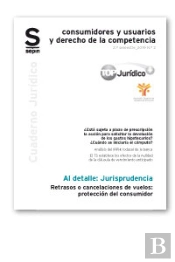 Retrasos O Cancelaciones De Vuelos: Protección Del Consumidor
