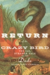 Return Of The Crazy Bird