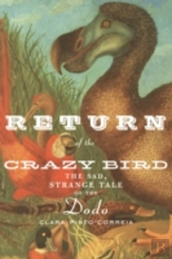Bertrand.pt - Return Of The Crazy Bird