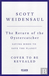Return Of The Oystercatcher