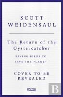 Return Of The Oystercatcher